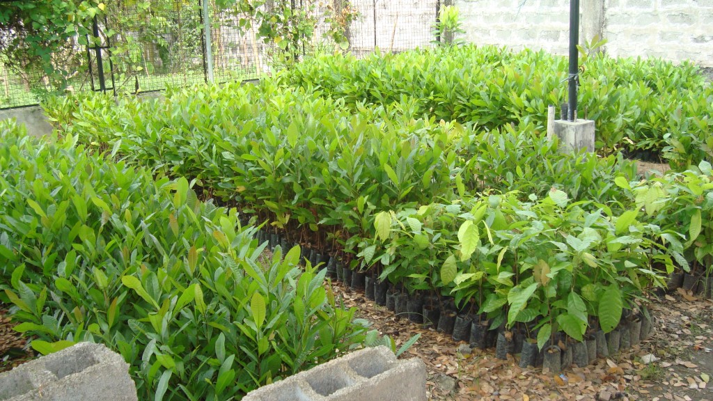 nursery 04