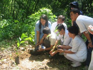 planting_03